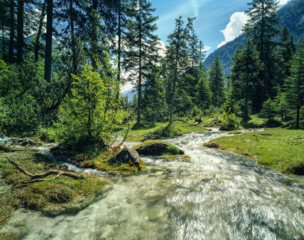 Hotel Laerchenhof Natur Зеефельд в Тироле Экстерьер фото